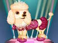 Xogo My Cute Dog Daisy