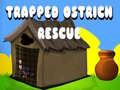 Xogo Trapped Ostrich Rescue