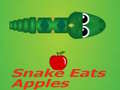 Xogo Snake Eats Apple