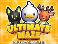 Xogo Ultimate Maze! Collect Them All!