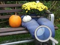 Xogo Autumn Garden Find 100 butterflies