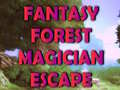 Xogo Fantasy Forest Magician Escape