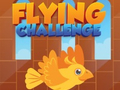 Xogo Flying Challenge
