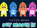 Xogo TikTok Meme My Name Is