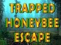 Xogo Trapped Honeybee Escape
