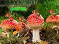 Xogo Mushroom Forest Adventure