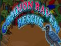 Xogo Common Raven Rescue