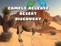 Xogo Camels Release Desert Discovery