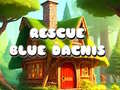 Xogo Rescue Blue Dacnis