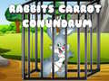 Xogo Rabbits Carrot Conundrum