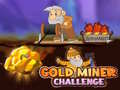 Xogo Gold Miner Challenge