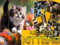 Xogo Puzzle Sliding Kittens