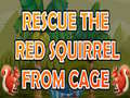 Xogo Rescue The Red Squirrel From Cage