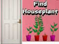 Xogo Find Houseplant