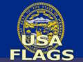 Xogo Usa Flags 