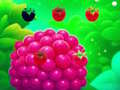 Xogo Sweet Raspberry