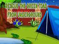 Xogo Rescue The Green Toad From Underground