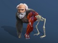 Xogo Idle Evolution From Cell To Human