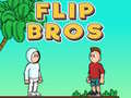 Xogo Flip Bros