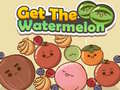 Xogo Get The Watermelon