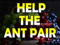Xogo Help The Ant Pair