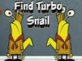 Xogo Find Turbo Snail