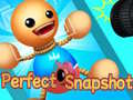 Xogo Perfect Snapshot