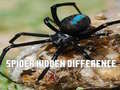 Xogo Spider Hidden Difference