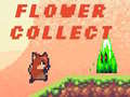 Xogo Flower Collect