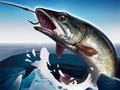 Xogo Ice Fishing 3D