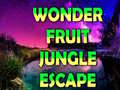 Xogo Wonder Fruit Jungle Escape
