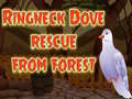 Xogo Ringneck Dove Rescue From Forest