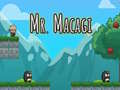 Xogo Mr Macagi