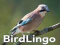 Xogo BirdLingo