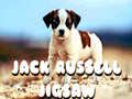 Xogo Jack Russell Jigsaw