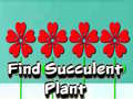 Xogo Find Succulent Plant