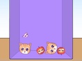 Xogo Evolution of Cat Memes