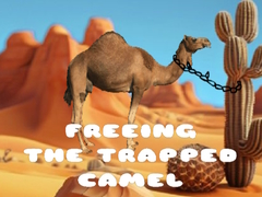 Xogo Freeing the Trapped Camel