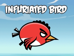 Xogo Infuriated bird