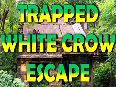 Xogo Trapped White Crow Escape