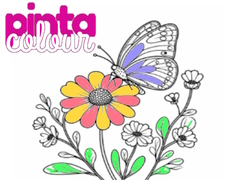 Xogo Pinta Colour