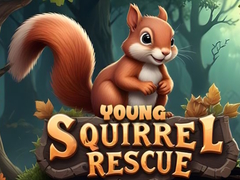 Xogo Young Squirrel Rescue