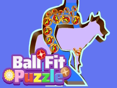 Xogo Ball Fit Puzzle