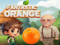 Xogo Fantastic Orange