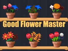 Xogo Good Flower Master