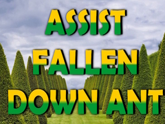 Xogo  Assist Fallen Down Ant
