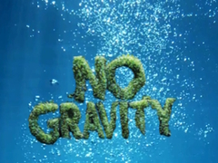 Xogo No Gravity