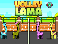 Xogo Volley Lama