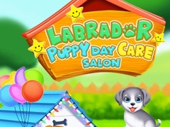 Xogo Labrador Puppy Daycare Salon