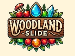 Xogo Woodland Slide